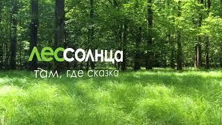 Именные сказки | Лес Солнца | Lessolnca.ru