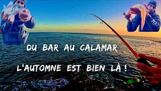 Du bar et du calamar, l’automne est bien là 