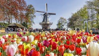 keukenhof 2023