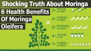 The Shocking Truth About Moringa- 6 Health Benefits of Moringa oleifera, Side Effects-Moringa Powder