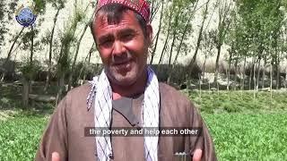 Establishment of a Grain Bank in Badakhshan