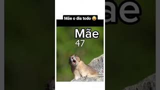 É sempre assim