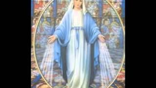 The Healing with Mother Mary Meditation | Sarah Hall