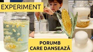 SUPER EXPERIMENT: Porumb săltăreț | Activități pentru grădiniță | Experiment grădiniță