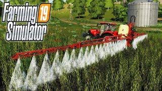 КАК БОРОТЬСЯ С СОРНЯКАМИ? FARMING SIMULATOR 19