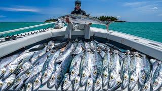 HUGE Payday... 1,000lb Fish HAUL (Commercial Fishing Florida)