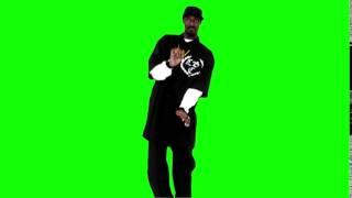 Snoop Dogg Dance (Snoop dogg Smoke weed everyday) Green Screen(chroma key)