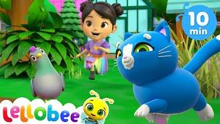The Five Senses Shakedown Lellobee City Farm Nursery Rhymes for kids