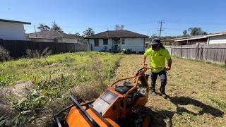 Can This Lawn Be Saved? Watch the Transformation! #freemowfridays