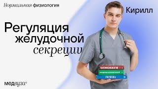 Регуляция желудочной секреции | Нормальная физиология