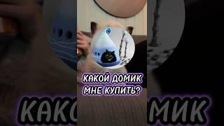 Какой домик мне купить? #животные #котёнок #бедный #дом #shorts