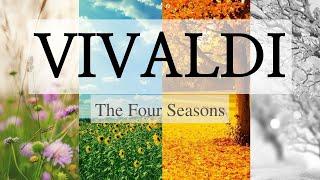 가장 익숙한 클래식 비발디 사계, 90분듣기 (The Four Seasons, Vivaldi)