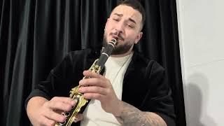 Alin Vasile - ( M-a pus viața la încercare) Tutorial Clarinet hora 2024