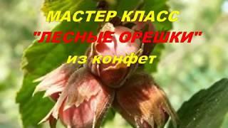 Мастер класс "Лесные орешки" из конфет