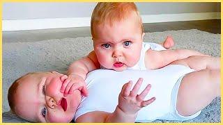 Twin Baby's Funniest BATTLE Compilation - Funny Baby Video