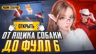 ОТ СОБАКИ ДО ФУЛЛ 6| Metro PUBG MOBILE