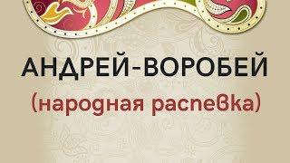 АНДРЕЙ-ВОРОБЕЙ народная распевка. ЗАТЕЯ детский фольклорный ансамбль.