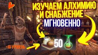 Как мгновенно прокачать Алхимию и Снабжение? | The Elder Scrolls Online | ТЕСО Туториал | TESO | ESO