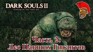 Dark Souls II - Часть 2: Лес Павших Гигантов