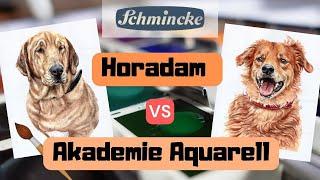 Schmincke Horadam Aquarell vs. Schmincke Akademie Aquarell