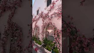 Old Phuket Town Flower House #phuket #thailand