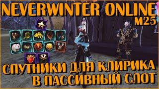 Какого Спутника Поставить Клирику в Пассив? | Neverwinter Online | M25