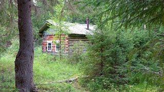 Путешествие на Ямозеро Ч15. Мезенская Пижма. Лесная изба охотничье зимовье. Один в тайге. Дом в лесу