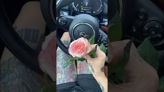  #artadelina #artist #tattoo #flower #minicooper #роза