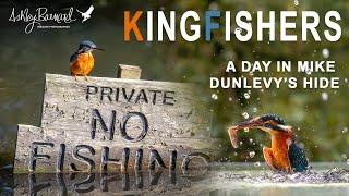 Photographing Kingfishers - Mike Dunlevy Hide