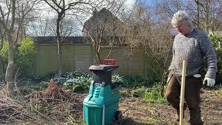Plantsmans Diaries 2021...Late March