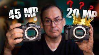 How many MEGAPIXELS is too many?