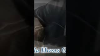 Rüyada Hırsız Görmek #shortvideo