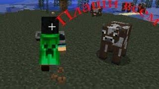 Обзор мода minecraft Плащи Всем! Как установить) №6