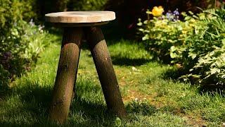 Tree Branch Stool