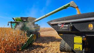 Phenomenal Corn Harvest