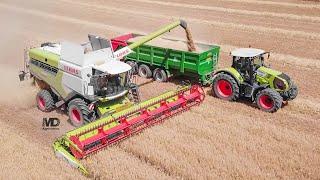 Moisson 2020  Claas Lexion 6700  Dousset Matelin