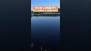 Первые змеи 2021.  Уж в воде.  Одиночный поход в лес.  #shorts