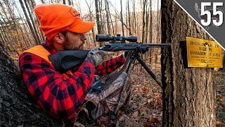 DEER HUNTING in the GEORGIA MOUNTAINS!!! (Public Land)