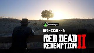 Red Dead Redemption 2  #24