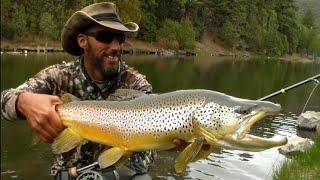 Flyfishing Utah May 2021 : 30+ inch Brown Trout