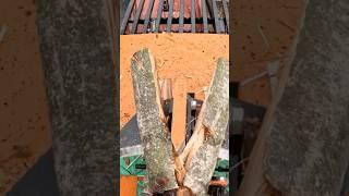 White Birch‼️ #firewood