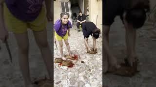 Beautiful girls slaughter chicken under feet