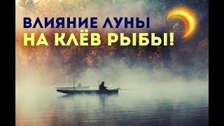 Влияние луны на клёв рыбы! Как влияет луна на рыбу в водоёме?