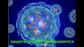 Защити себя от коронавируса. 12 принципов здоровья.