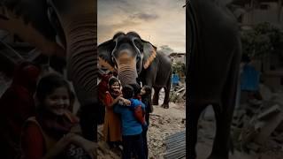 A strong elephant helped rescue villagers from the rubble #animals #wildliferescue