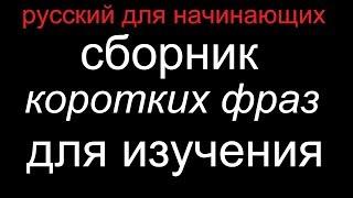 Разговорный русский: фразы для ежедневного общения