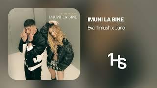 Eva Timush x Juno - Imuni la bine | 1 Hour