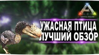 Ужасная птица (Terror bird)  в АРК. Лучший обзор: приручение, разведение и способности  в ark