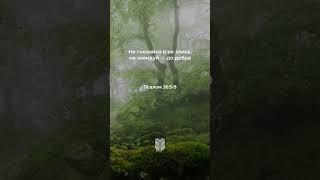 Псалом 36:5-9 в современном переводе #библия #biblevision