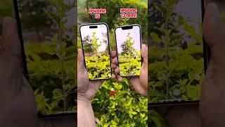 Iphone 15 vs Iphone 13 Mini Camera Comparison #shorts #apple #iphone